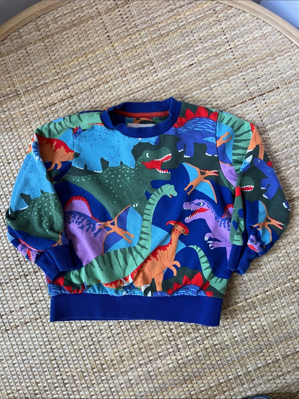 Mini Boden kids' colorful dinosaur print cotton sweatshirt blue ribbed trim 4-5y